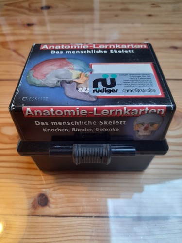 Rüdiger anatomie lernkarten - rüdiger, lernkarten*
