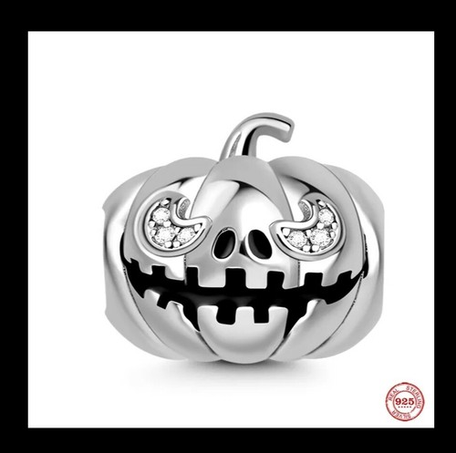 Charm anhänger 925 - 925, sterling