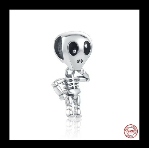 Charm anhänger 925 sterling - anhänger,